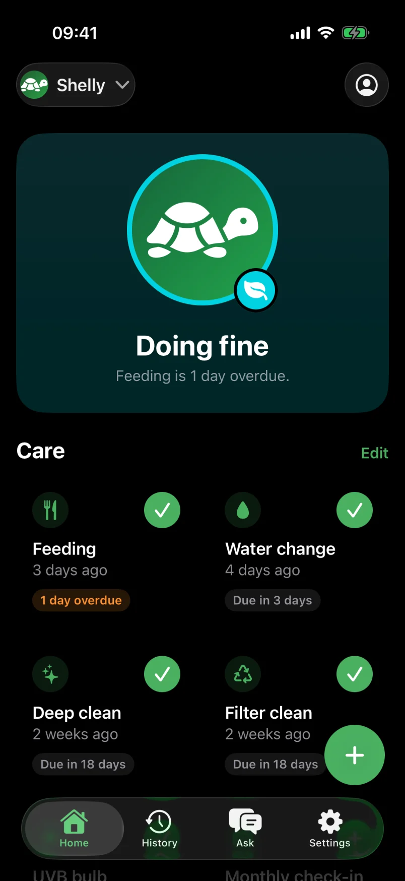 Home for a turtle named Shelly: her mood is Doing fine because feeding is 1 day overdue, with care cards for feeding, water change, deep clean and filter clean.